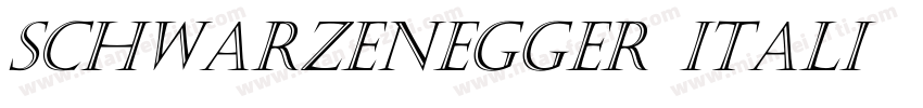 Schwarzenegger Itali字体转换
